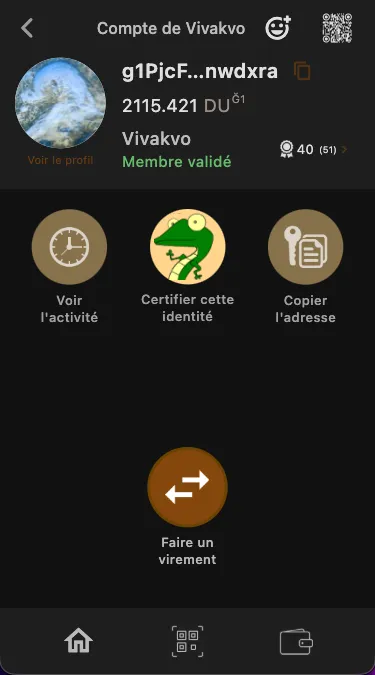 Ğecko identity profile — Web of Trust certifications and balance